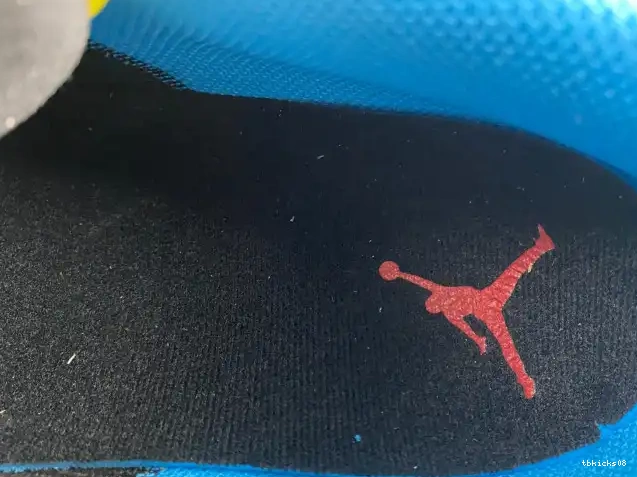 Rep TBkick 338145-003 Phat Olympic 1 Jordan Low 0615